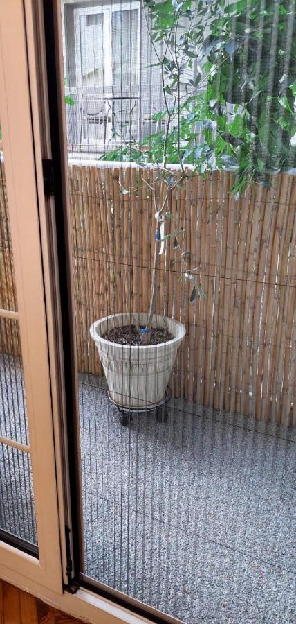 Athens Riviera Apt With Seaview, 15' To Acropolis エクステリア 写真